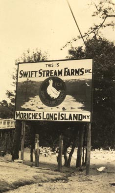 Swift Duck
